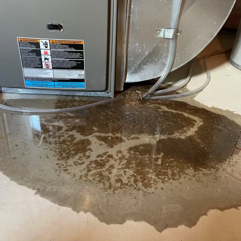 Appliance Leak Cleanup in Plain View, NC